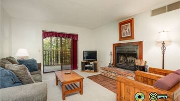 TV, fireplace, DVD player