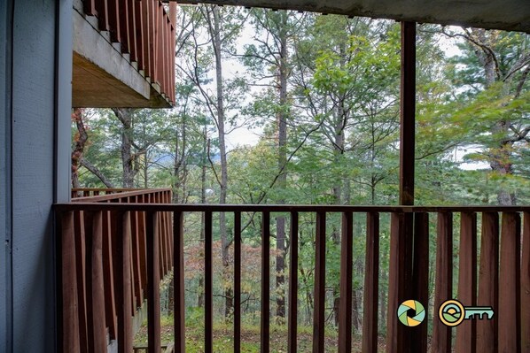 Vista desde la propiedad