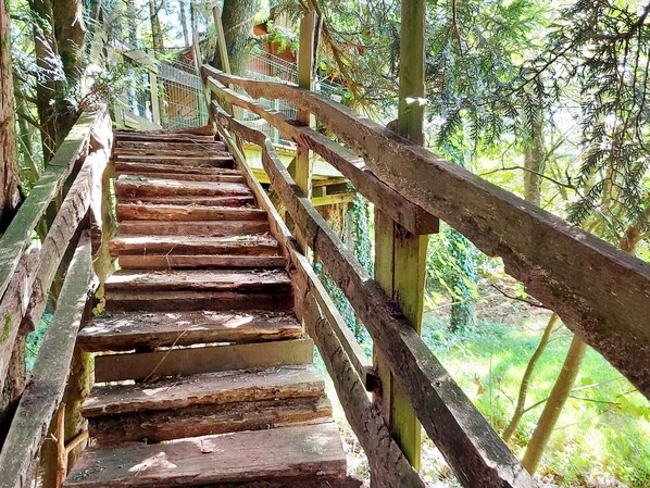Una escalera de madera que asciende por un área boscosa, con barandillas a ambos lados.