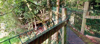 Family-Friendly Treehouse with Modern Comforts, Farm Animals, Pool, and Fishing Near Historical Sites