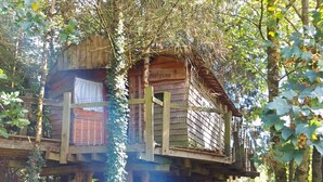 Una casa árbol con revestimiento de madera, un pequeño balcón y una ventana con cortina blanca.