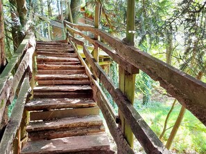 Terrain de l’hébergement 