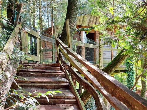 Family-Friendly Treehouse with Modern Comforts, Farm Animals, Pool, and Fishing Near Historical Sites