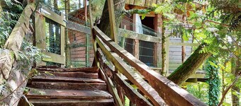 Family-Friendly Treehouse with Modern Comforts, Farm Animals, Pool, and Fishing Near Historical Sites