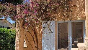 A building with a white door and a window with blinds, surrounded by greenery and a flowering tree.
