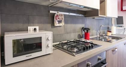 Pretty Flat Business Apartment