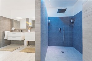 Shower, hair dryer, bidet, towels