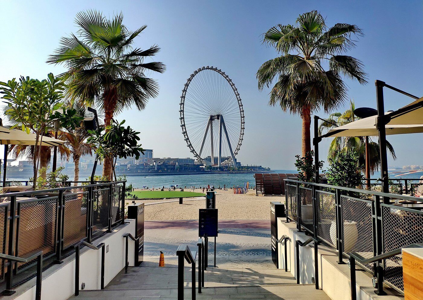 Une promenade en bord de mer avec une grande roue, des palmiers et une plage.