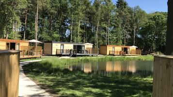 Cabin | Property grounds