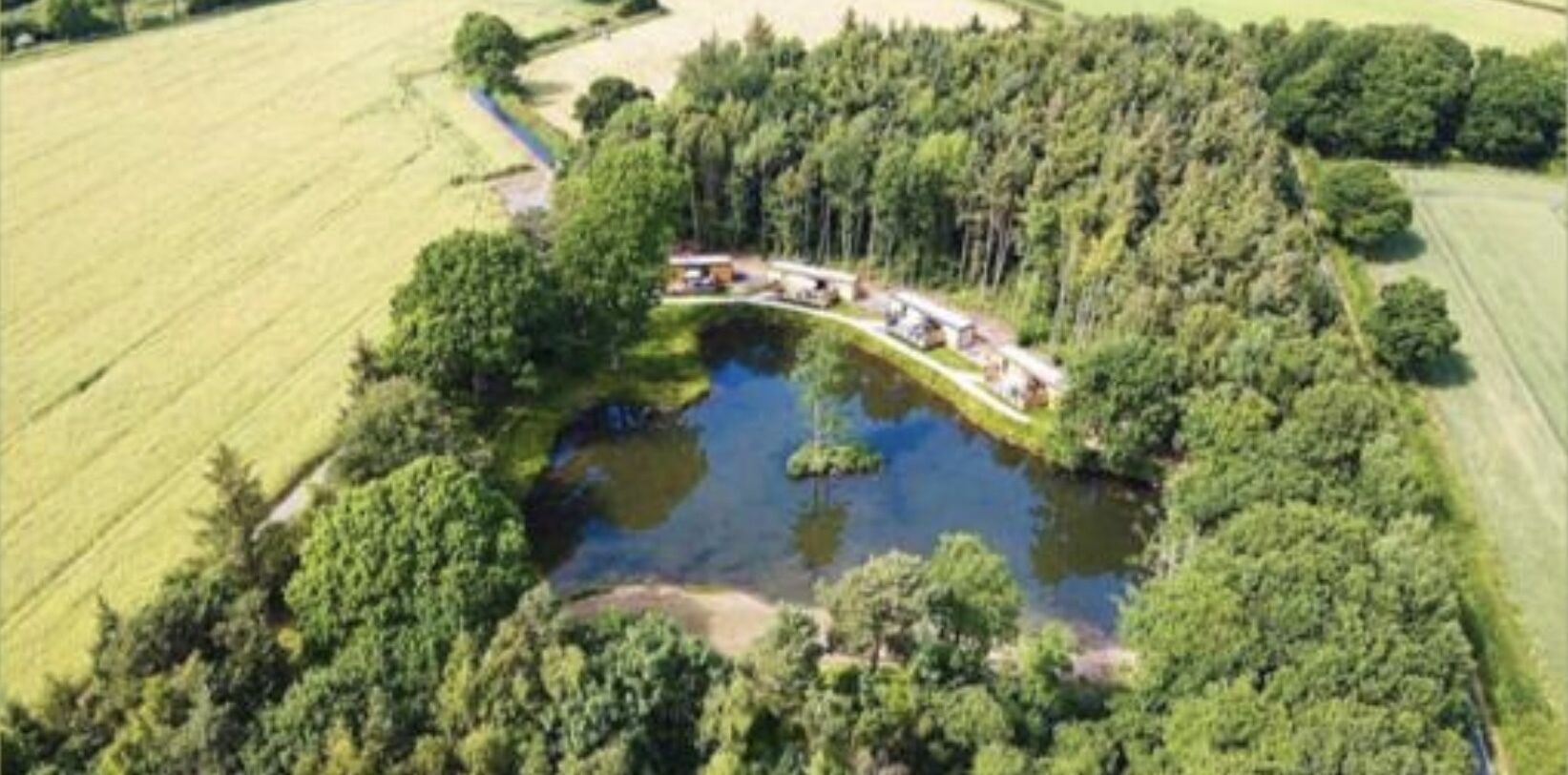 An aerial view of a property with a pond, surrounded by dense trees and fields.