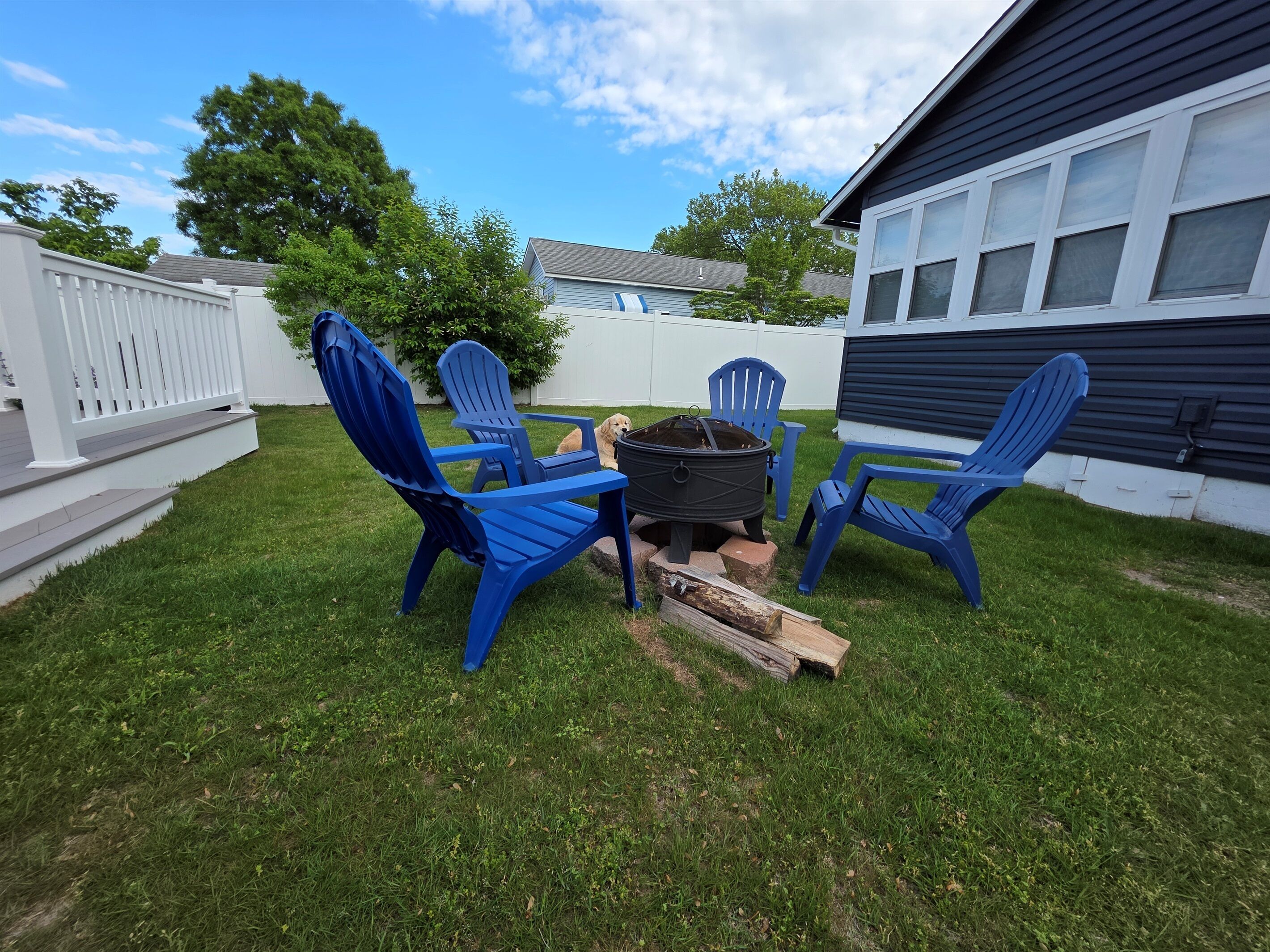 A backyard with a fire pit, blue Adirondack chairs, and a dog.