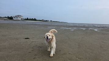 Playa en los alrededores