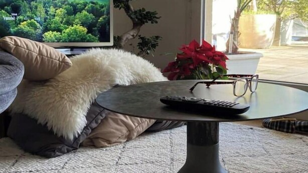 Un salon confortable avec un téléviseur diffusant un paysage pittoresque, une petite table ronde sur laquelle repose une télécommande, et une plante en pot ornée de fleurs rouges.