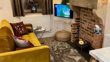 TV, fireplace, books