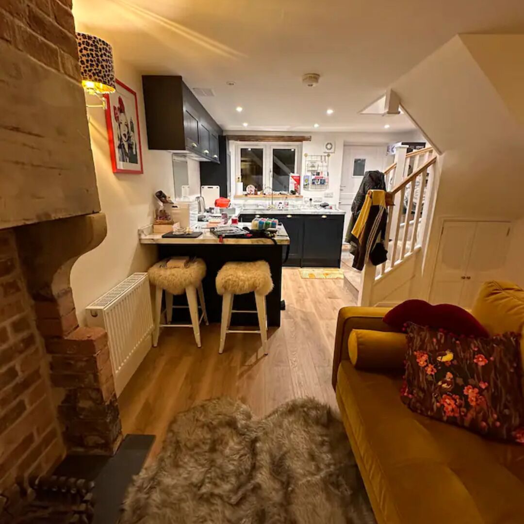 TV, fireplace, books