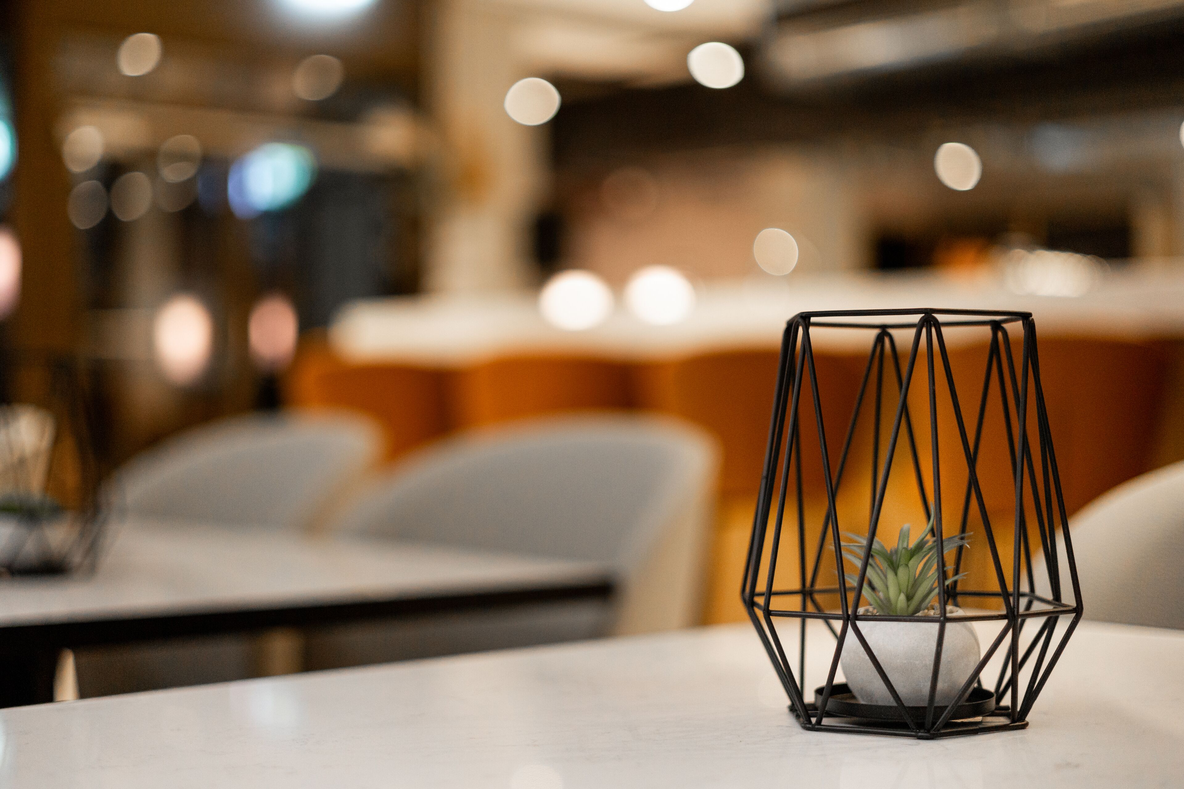 Una mesa con un macetero geométrico de alambre negro que contiene una planta pequeña.