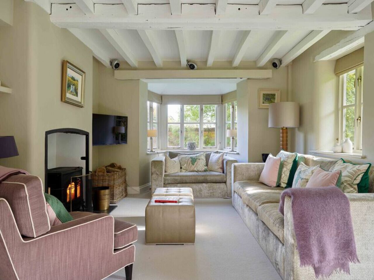 Smart TV, fireplace, DVD player, books
