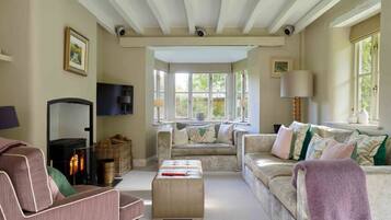 Smart TV, fireplace, DVD player, books