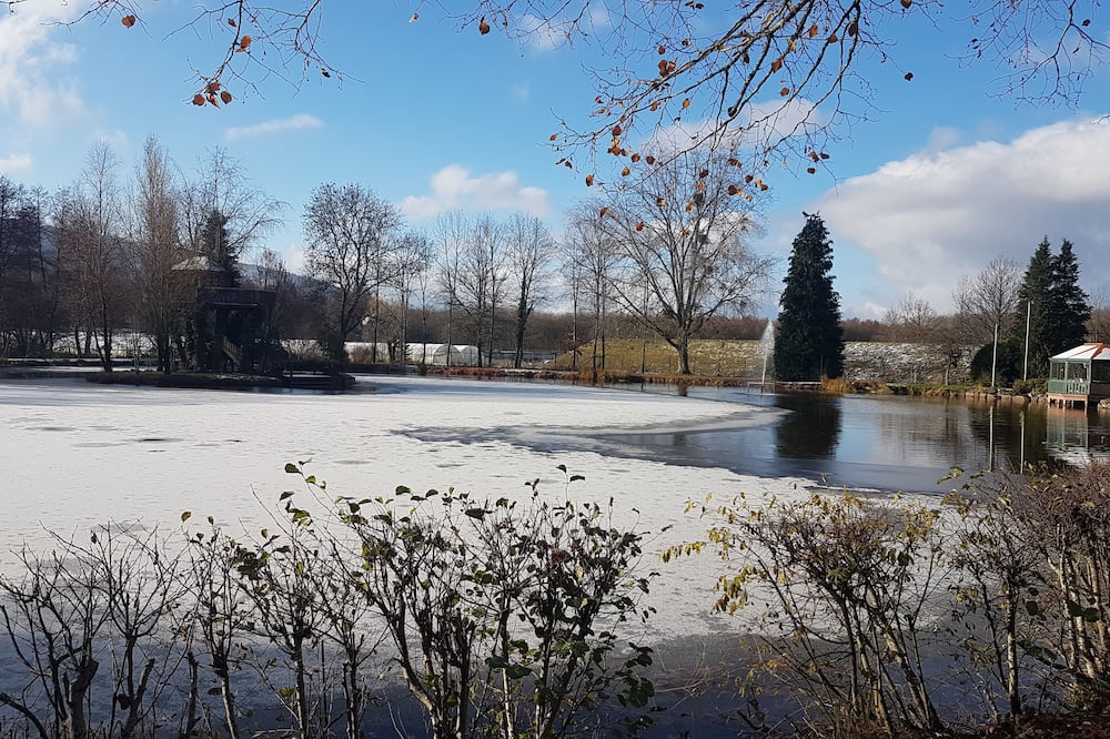 Chalet in 3 Ha enclosed park with pond and wellness area
