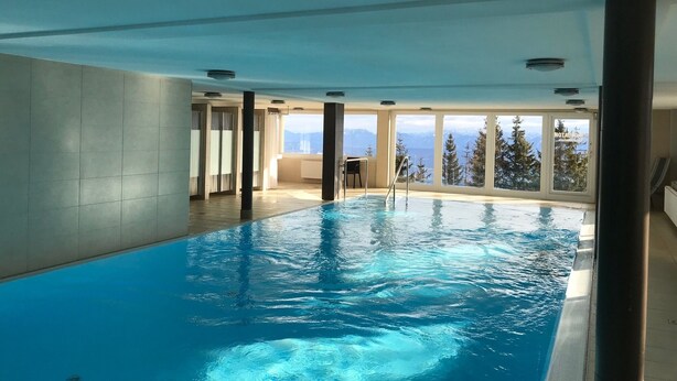 An indoor swimming pool with clear views of mountains and trees through large windows.