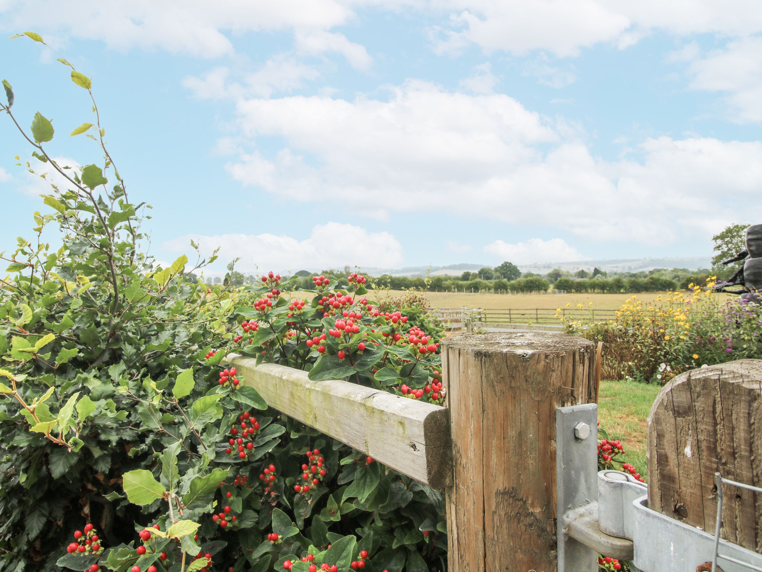 A rustic wooden gate with a metal latch, surrounded by lush greenery and red berries.