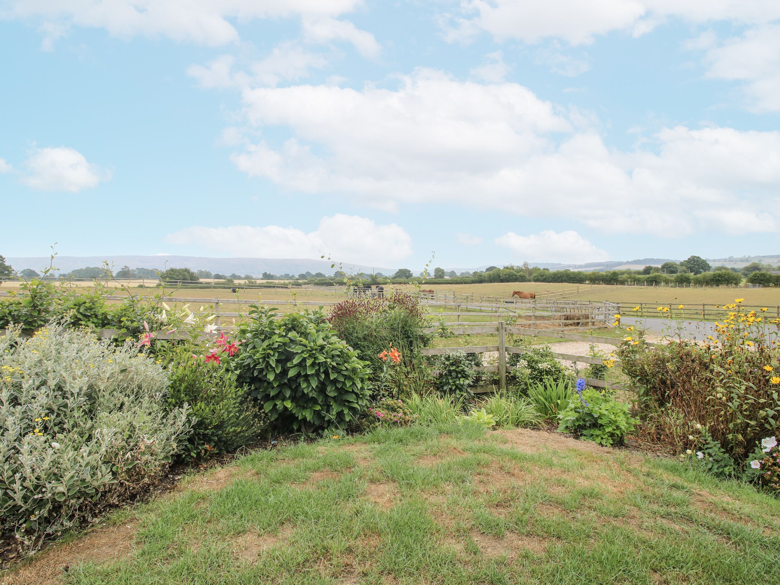A rural landscape with a fenced field, a variety of plants and flowers, and a distant view of mountains under a partly cloudy sky.