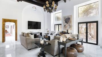 TV, fireplace, books