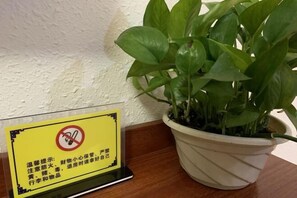 Khuôn viên nơi lưu trú