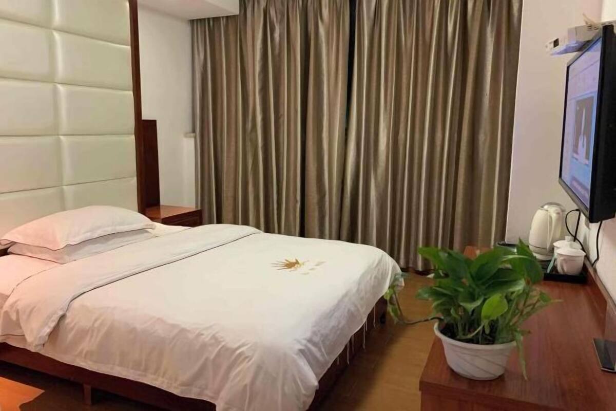 A hotel room with a bed, a potted plant, a television, and a curtain.