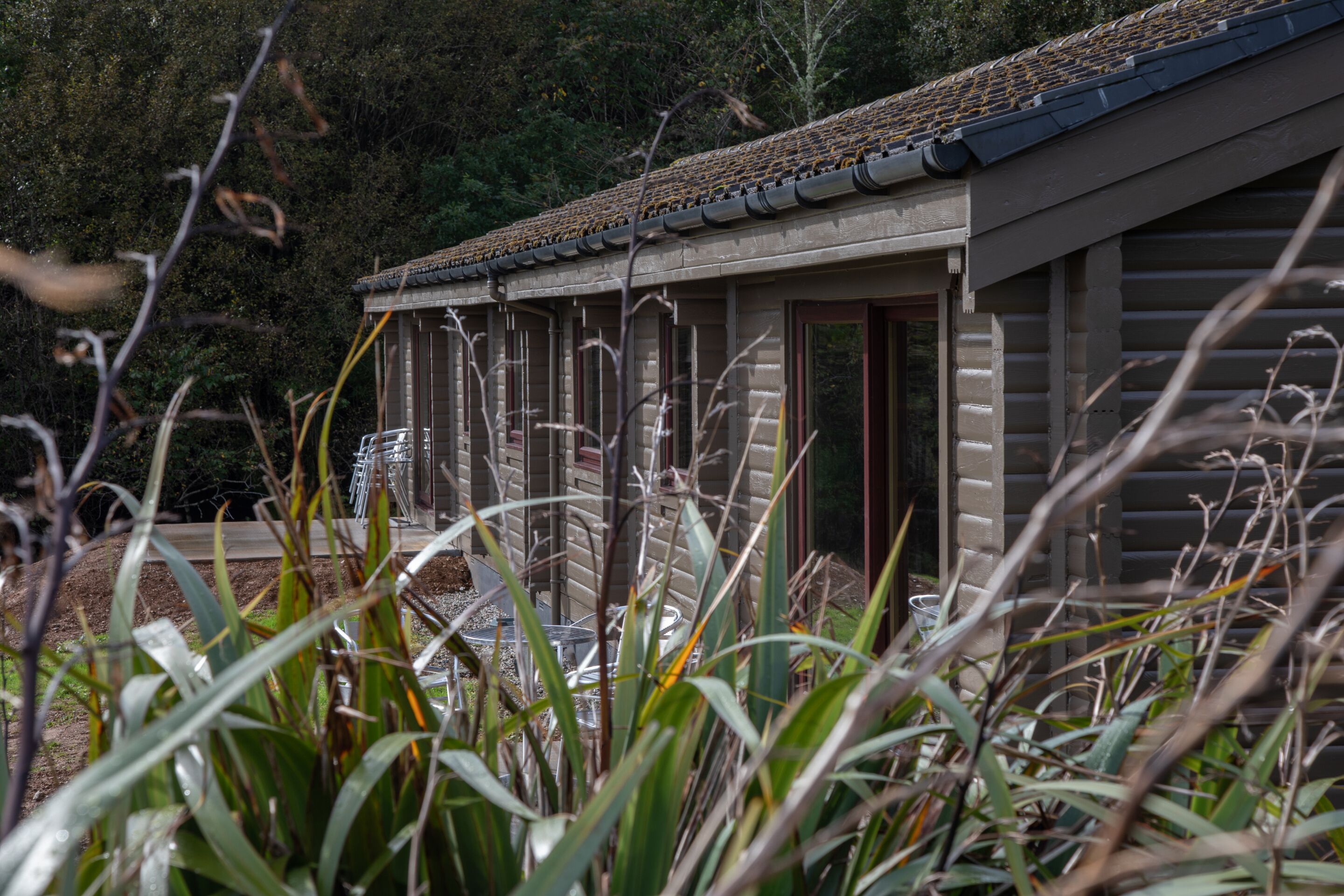 Exterior of cabin