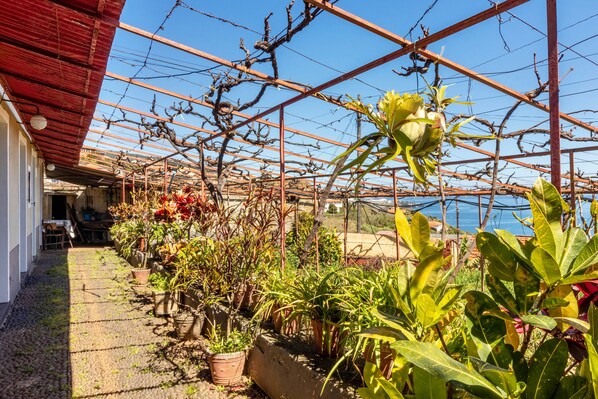 Property grounds - Chalet "Casa Do Boto" with Sea View, Private Terrace & Garden (Gaula)