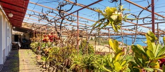 Chalet "Casa Do Boto" with Sea View, Private Terrace & Garden