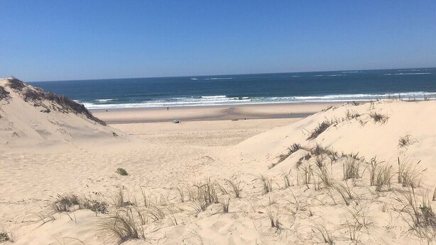 Ein Strand mit Dünen und dem Meer.