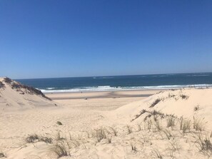 A beach with sand dunes and the ocean.