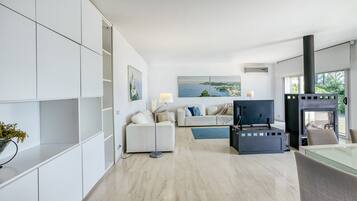 Télévision, cheminée, chaîne hi-fi