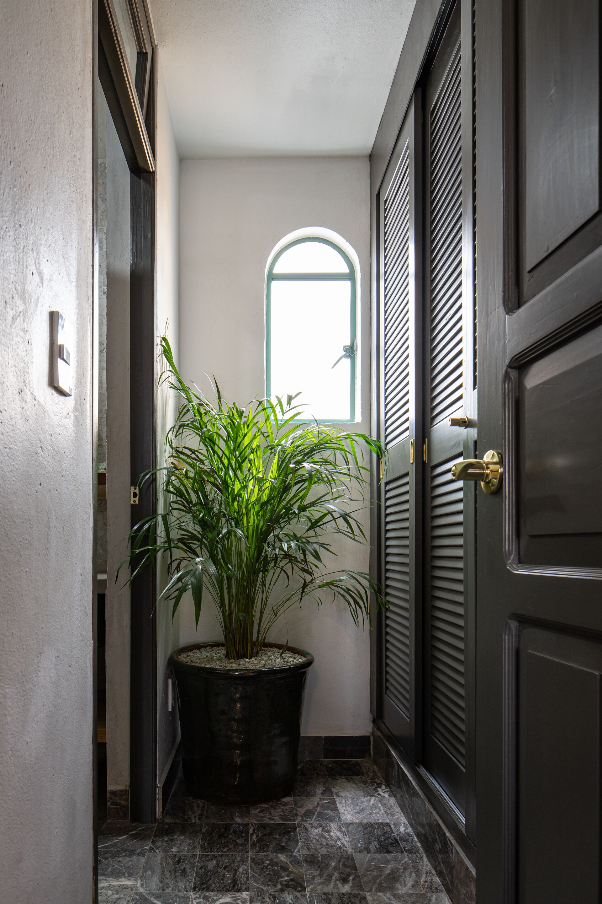 Un pasillo estrecho con una planta en maceta, una ventana y una puerta con picaporte de latón.