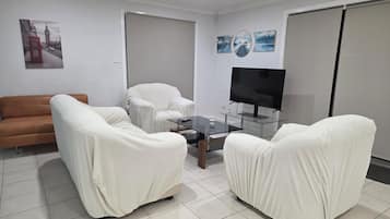 TV, fireplace, video games, video library
