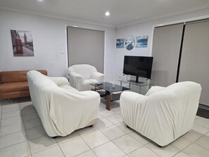 TV, fireplace, video games, video library