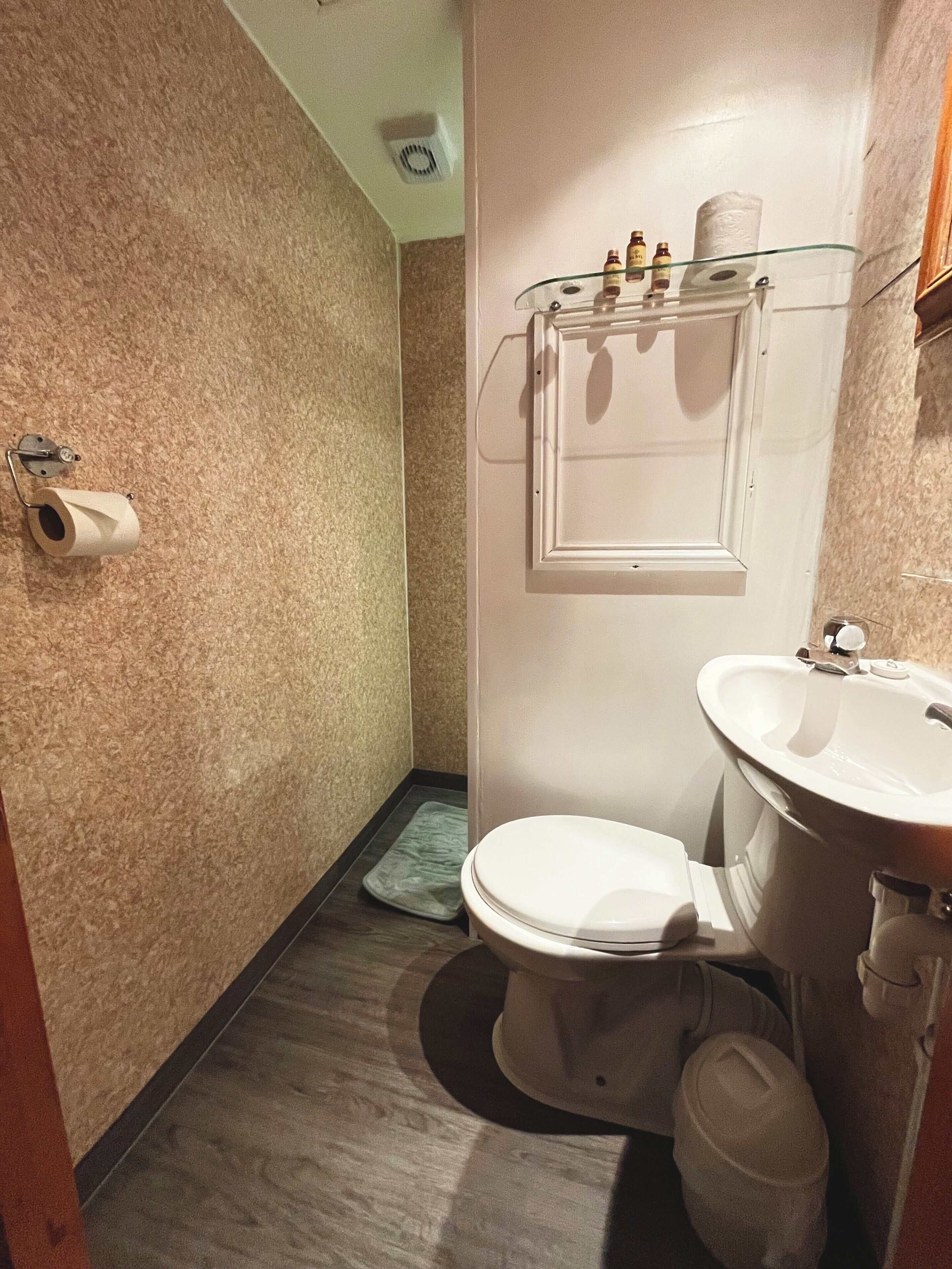 A bathroom with a toilet, sink, and a glass shelf above the sink.