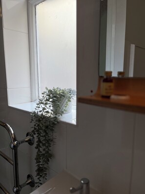 A bathroom with a window, a plant, a sink, and a mirror. - The Old Palace Guest House (Brighton)