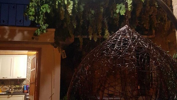 A covered outdoor seating area with a metal roof, surrounded by a garden with grapevines and a building in the background. - mardin konağı (Mardin)