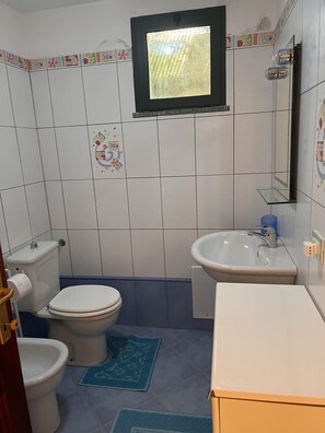 Suihku, hiustenkuivaaja, bidee, pyyhkeet