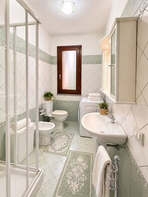 Shower, hair dryer, bidet, towels