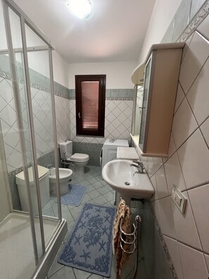 Shower, hair dryer, bidet, towels