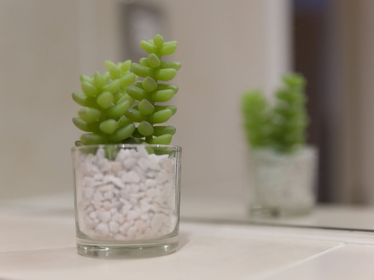 A small glass container with a succulent plant on a white surface.