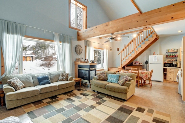 Fireplace, table tennis, books, stereo