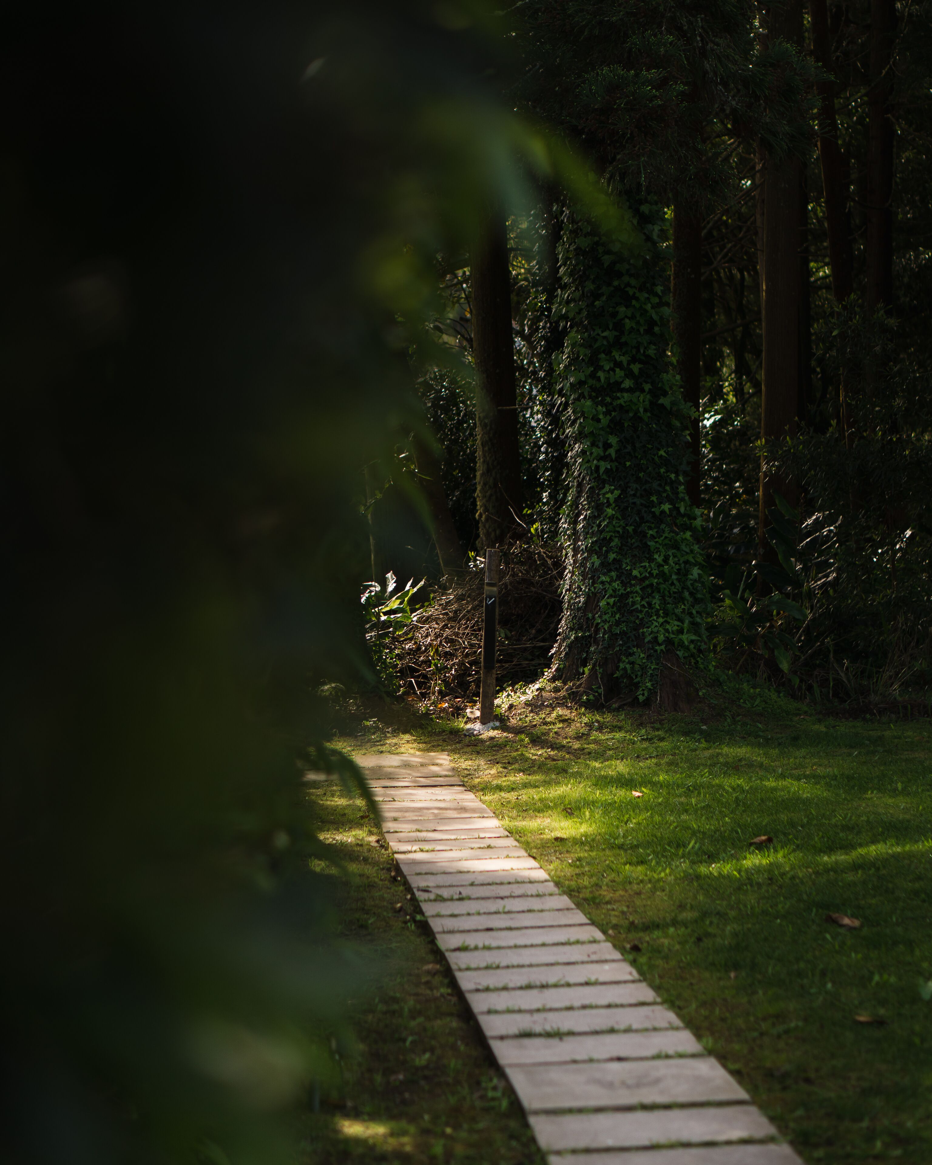 Foto - Landescape Furnas