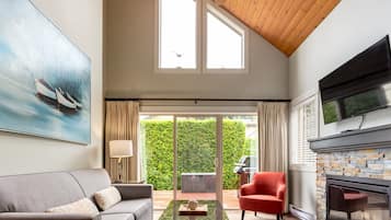 Smart TV, fireplace, books