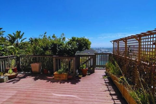 Sunny deck with plants