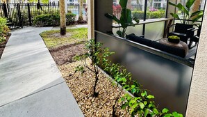 A modern building with a concrete pathway, palm trees, and a seating area with a view of the surrounding greenery. - Oasis Resort Style Condo 2/2 (Naples)